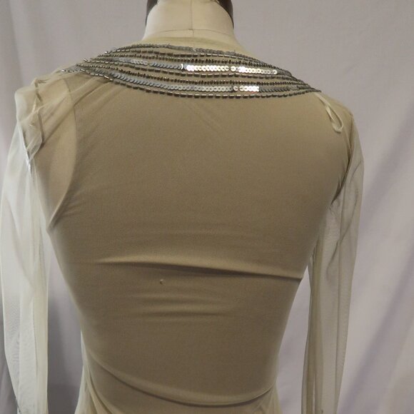 Glam Sequin Illusion Mesh Bodycon Dress - Picture 3 of 9